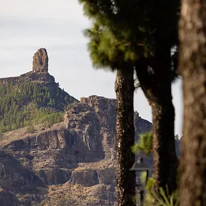 https://casa-maria-with-roque-nublo-view.in-canary-islands.com