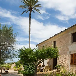 https://es-pla-de-llodra.allmallorcahotels.com